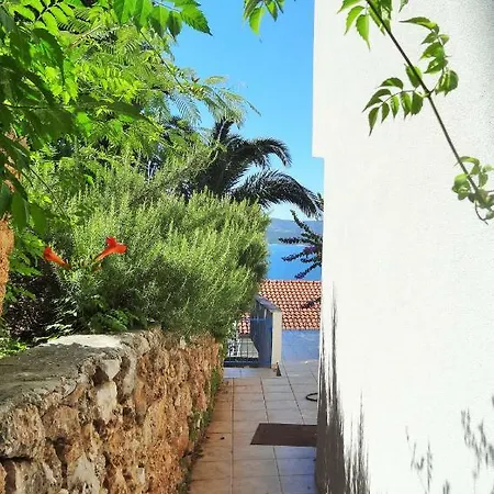Vila Malo Blue *