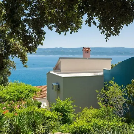 Vila Malo Blue